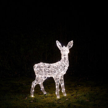 Swinsty Fawn Dual LED Plug In Light Up Reindeer, 4 of 6