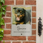 Dog House Sign Personalised Photo Gift, thumbnail 1 of 4