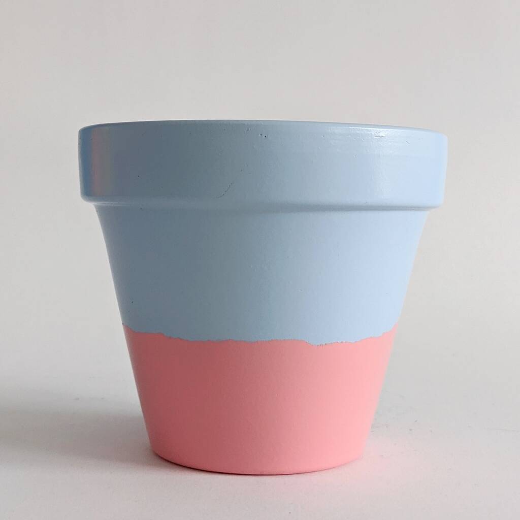 Two Tone Plant Pot / Planter / Blue And Pink By Southside Atelier ...