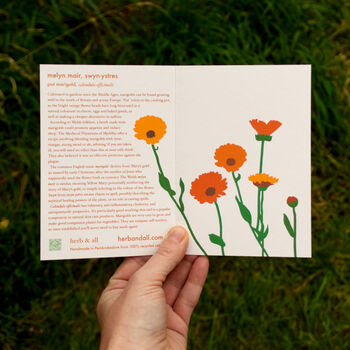 Welsh Pot Marigold Illustrated Card With Seeds, 3 of 8