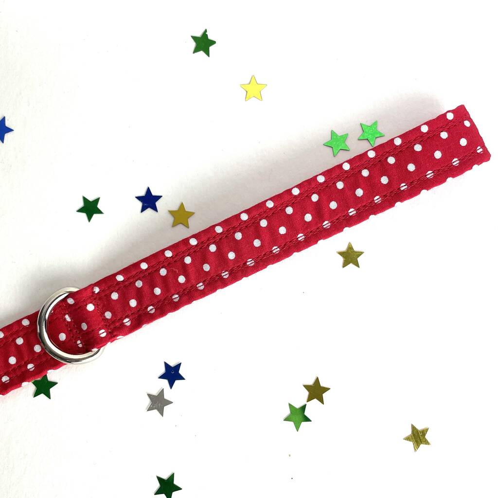 Red Polka Dot Dog Collar And Lead Set By Charlie and Boo