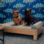 Wooden Dog Bed Solid Oak, thumbnail 4 of 12