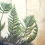 Faux Green Bracken Fern Plant Small Or Large, thumbnail 4 of 7