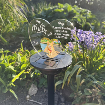Pet Photo Memorial Colour Changing Solar Garden Light, 2 of 7