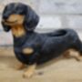 28cm Dachshund Sausage Dog Novelty Pot Indoor Outdoor, thumbnail 3 of 5