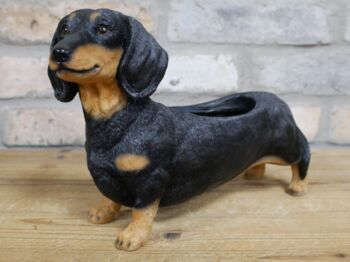 28cm Dachshund Sausage Dog Novelty Pot Indoor Outdoor, 3 of 5