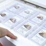 Mosasaur Tooth Fossil, thumbnail 9 of 10