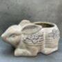 Adorable Rabbit Flower Pot For Indoor Plant Rabbit Gift, thumbnail 5 of 9