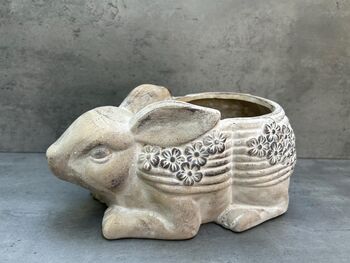 Adorable Rabbit Flower Pot For Indoor Plant Rabbit Gift, 5 of 9