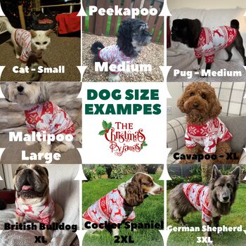 Family Matching Christmas Pyjamas 2025, 12 of 12