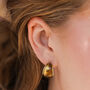 Small Amber Resin Hoop Earrings In Gold Plating, thumbnail 1 of 3