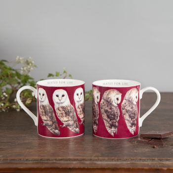Pair Of Bone China Barn Owl Mugs, 2 of 4