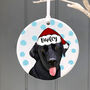 Christmas Personalised Dog Decoration, thumbnail 10 of 12