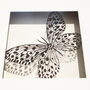 Framed Papercut Butterfly Art, thumbnail 4 of 7