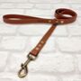 Waterproof Dog Collar And Lead Set Brown, thumbnail 3 of 3