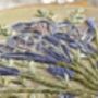 Agapanthus Embroidery Kit, thumbnail 5 of 7