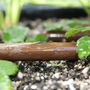 Small Self Watering Plastic Vegetable Planter, thumbnail 9 of 12