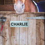 Personalised Brushed Metal Printed Horse Stable Sign, thumbnail 3 of 4