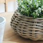 Round Rattan Zinc Lined Planter, thumbnail 3 of 5