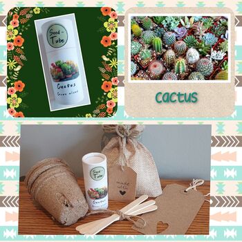 Grow Your Own Cactus Plant, 3 of 5