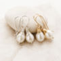 Aa Grade Freshwater Pearl Earrings, thumbnail 1 of 6