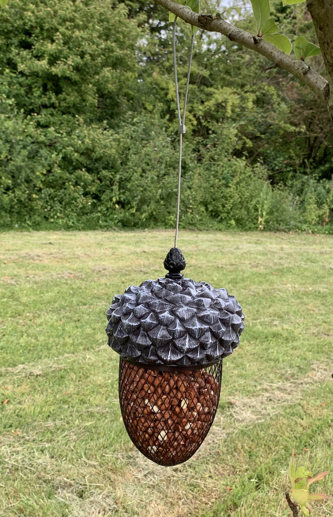 Set Of Two Acorn Hanging Nut Bird Feeders By Garden Selections