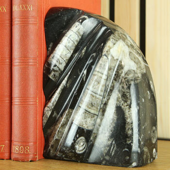 Black Marble And Belemnite Bookends, 2 of 4