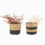 Mini Black Seagrass Planter With Choices Of Plants, thumbnail 4 of 5