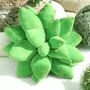 Cactus Plant Cushions, thumbnail 2 of 7