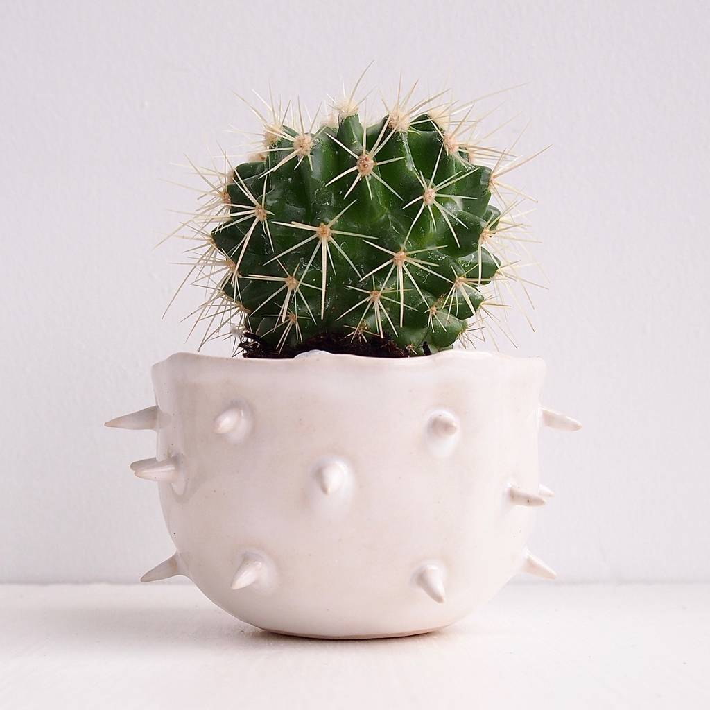Handmade Small White Spiky Ceramic Cactus Planter, 1 of 7