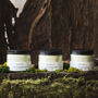 Barefoot Moss Forest Bathing Aromatherapy Candle, thumbnail 2 of 3
