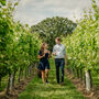 Tour, Tasting And Lunch Experience At A Kent Vineyard For Two, thumbnail 1 of 12