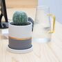 Indoor Grey Ceramic Plants Flower Planter Pot, thumbnail 2 of 9