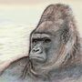 'Gorilla' Print, thumbnail 3 of 3