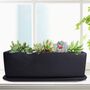 Black Modern Minimalist Ceramic Succulent Planter Pot, thumbnail 1 of 6