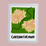 November Chrysanthemum Birth Flower Print, thumbnail 3 of 4