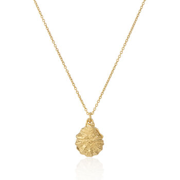 Gaia 18ct Gold Vermeil Oyster Shell And Pearl Necklace, 4 of 9