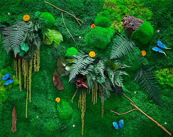 Moss Wall Art With Preserved Flowers, 10 of 12