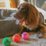 Spaniel Dog Tennis Balls, thumbnail 2 of 5