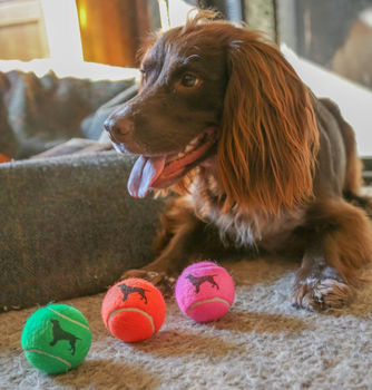 Spaniel Dog Tennis Balls, 2 of 5