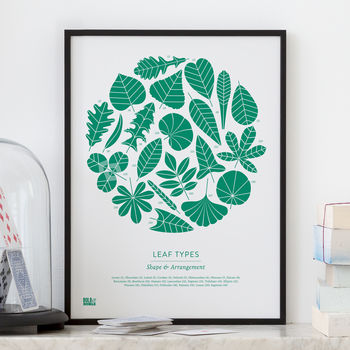 'Leaf Types' Illustrated Art Print In Emerald Green, 2 of 4