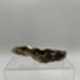 Bee Oyster Shell Trinket Dish, thumbnail 5 of 5