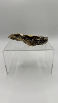 Bee Oyster Shell Trinket Dish, 5 of 5