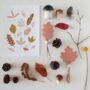 Autumn Special Forest Finds Children's Art Print, thumbnail 3 of 4