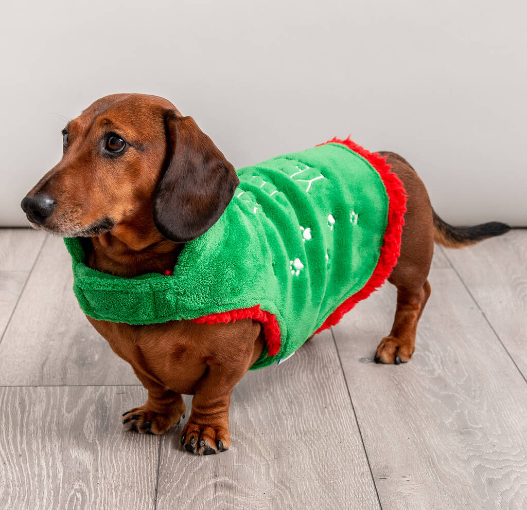 Personalised Christmas 'santa's Little Yelper' Dog Coat By Poppy K