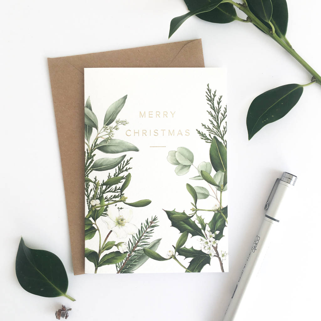 box of eight botanical christmas cards greenery by catherine lewis ...