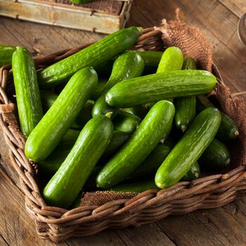 Vegetable Plants Cucumber 'Petita' Six X Plug Pack, 2 of 5