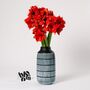 Royal Red Amaryllis Fresh Flower Bouquet, thumbnail 3 of 3