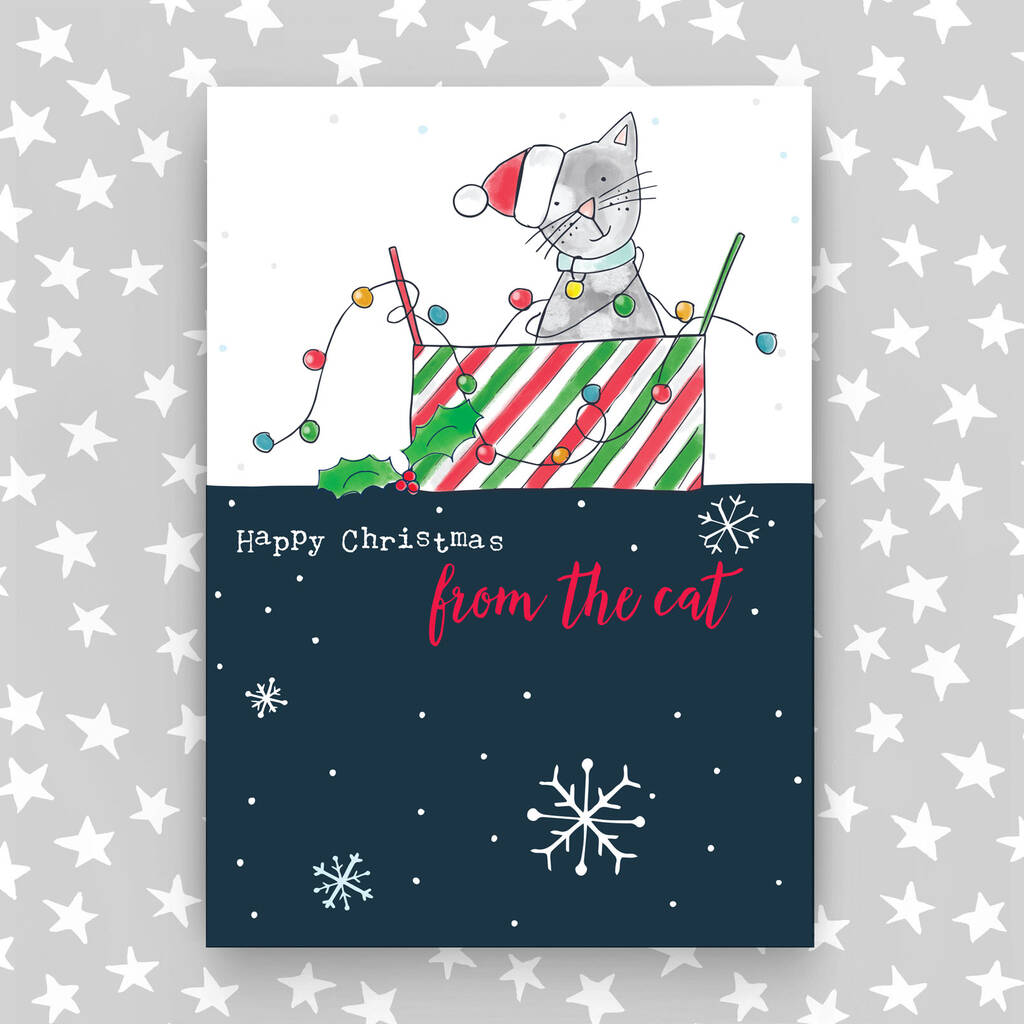 christmas-card-from-the-cat-by-molly-mae-notonthehighstreet