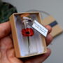 Tiny Paper Poppy In A Bottle Personalised Keepsake, thumbnail 4 of 7